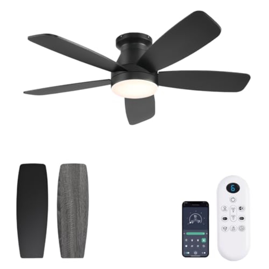 Ceiling Fan Mount - 42inch Ceiling Fans with Lights, Low