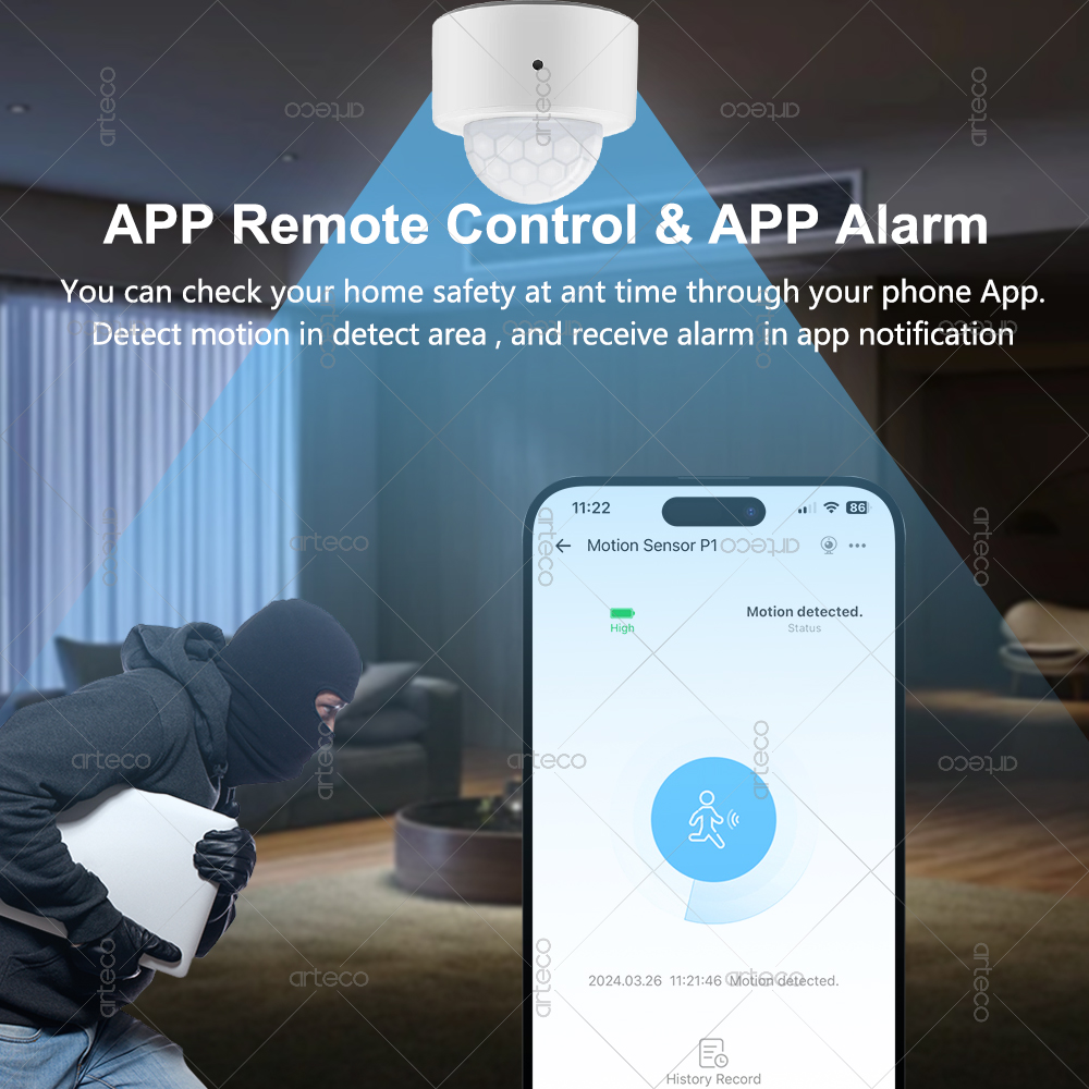 Ewelink Zigbee PIR Motion Sens - مراجعة Home Improvement Hardware وسعره